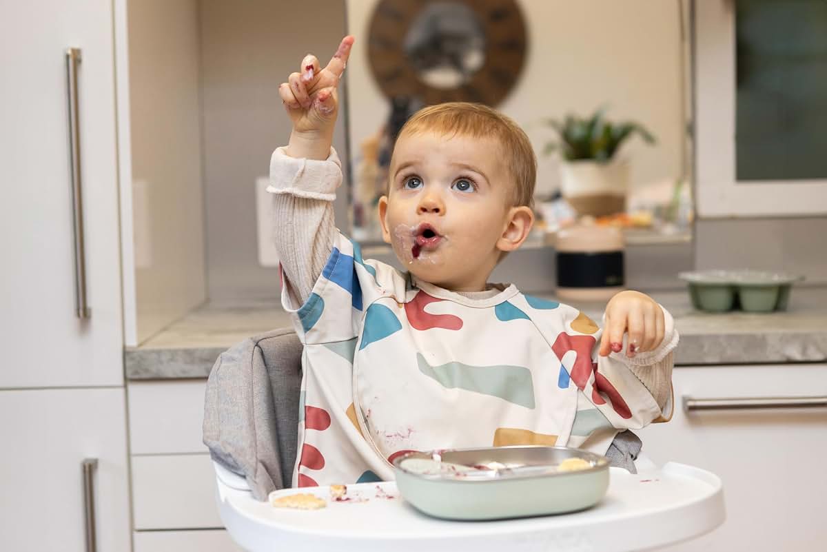 Béaba BEABA Microwave Sage Stainless Steel Divided Plate with Silicone Sleeve, Baby Plates and Toddler Plate, Baby (photo 2)