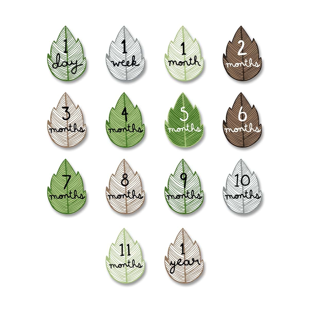 Lulujo Baby First Year Milestone Blanket And Card Set 40x40