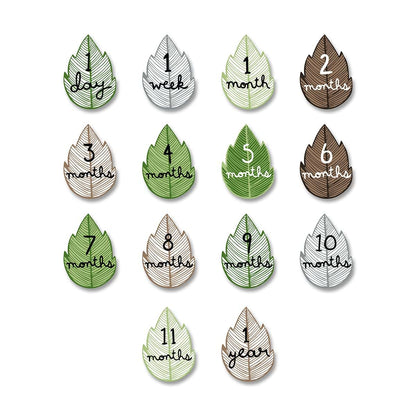 Lulujo Baby First Year Milestone Blanket And Card Set 40x40