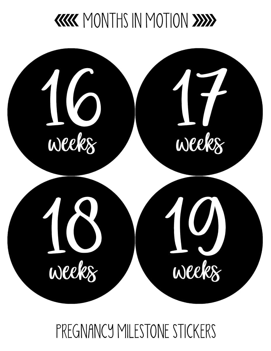 Months In Motion Pregnancy Weekly Belly Growth Stickers - 36 Piece Set (photo 3)