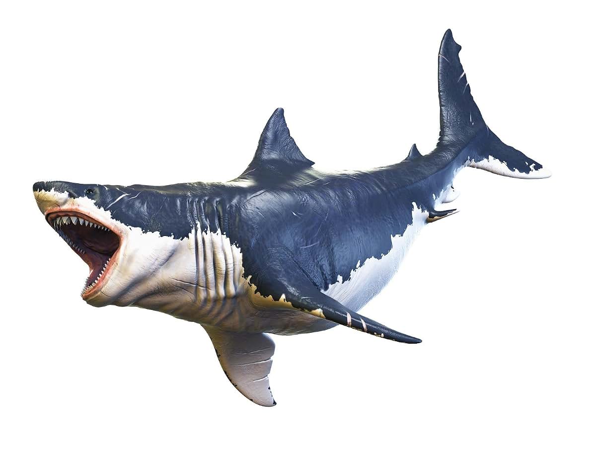 Stickit Graphix Megalodon #2 Shark Wall Decal Sticker