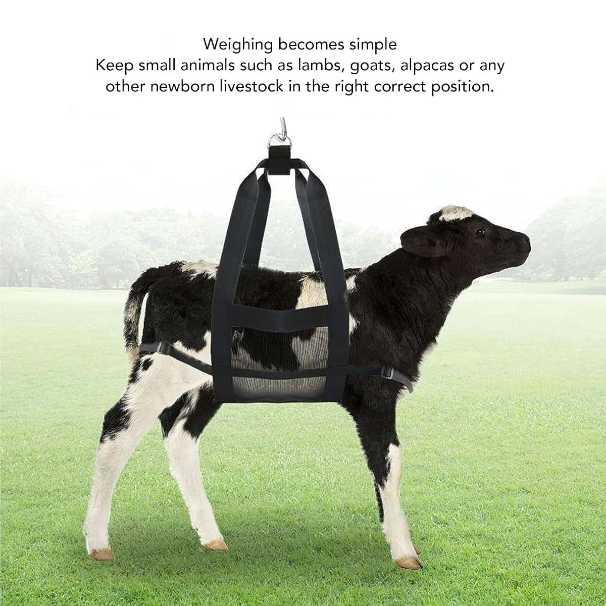 banapoy Calf Weighing Sling with Adjustment Strap, Nylon, 13.3 oz