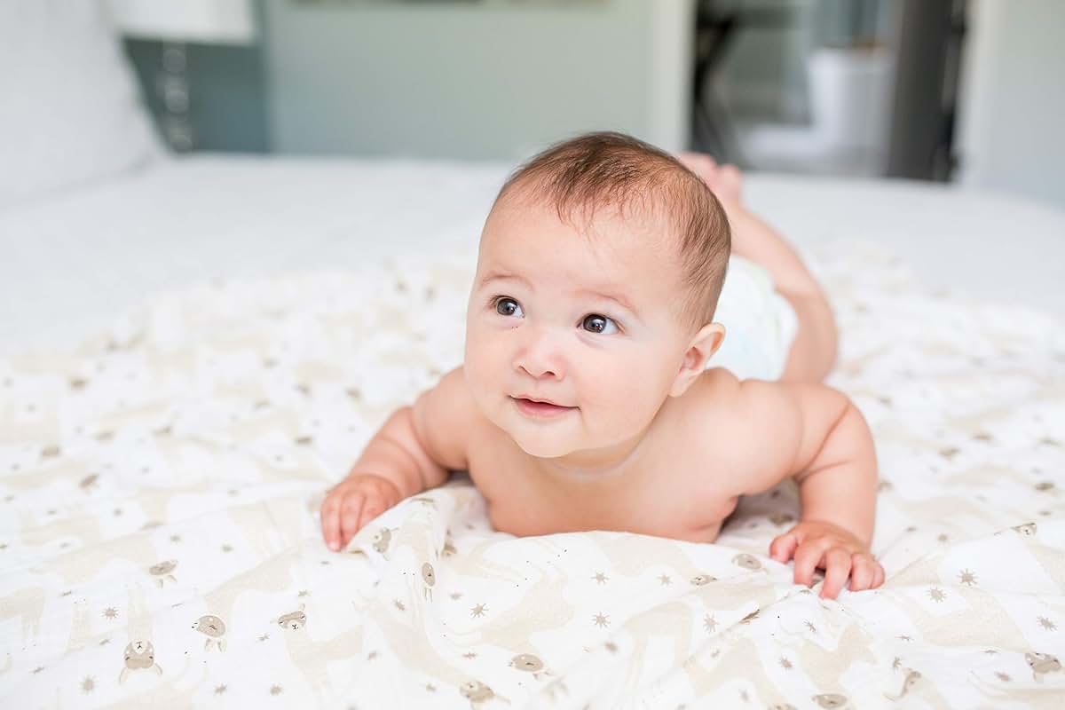 Lulujo Baby 100% Cotton Muslin Swaddle Blanket, 47 x 47-Inches, Modern Llama