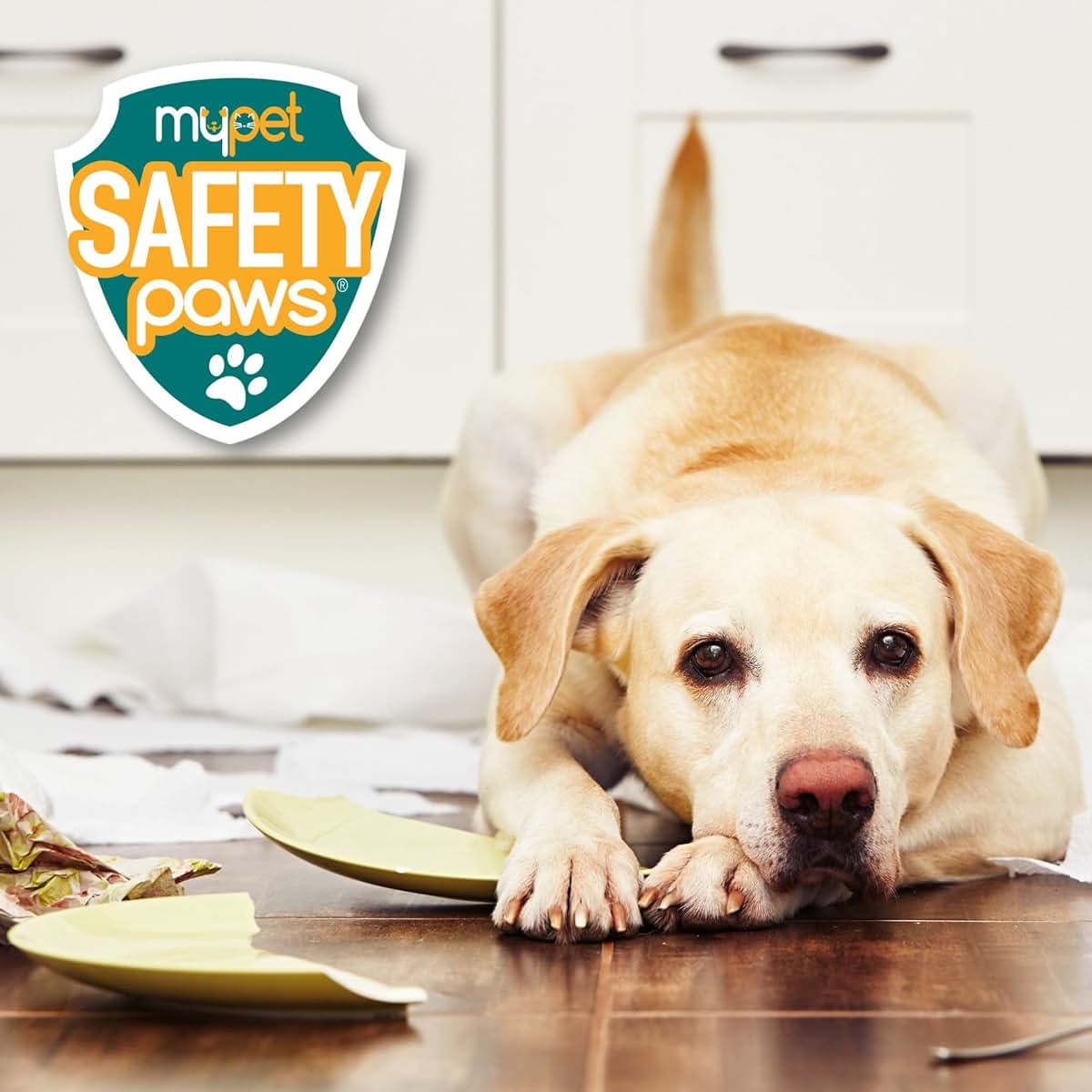 MyPet Safety Paws Mischief Minder Strap Locks for Cabinets and Garbage Cans