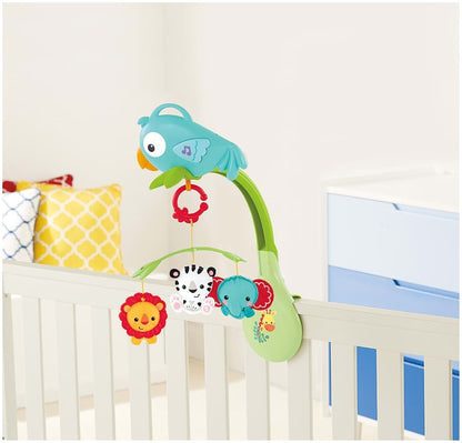 Fisher-Price Musical Activity Gym and Mobile Gift Set