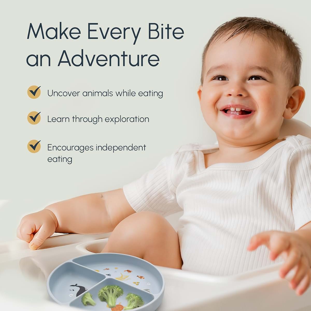 Studio Merveille Silicone Suction Plates with Dividers - Grip Plates for Babies 6-12 Months and Toddlers 1-3, Toddler