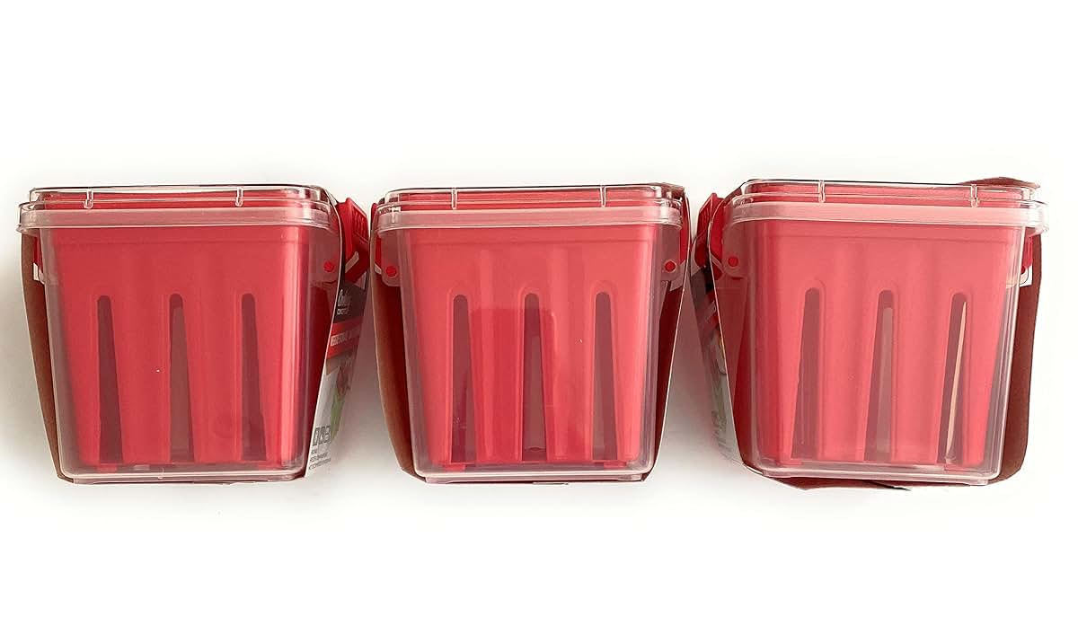 Cabe Veggie And Fruit Reusable Storage Container Bin Set (photo 3)