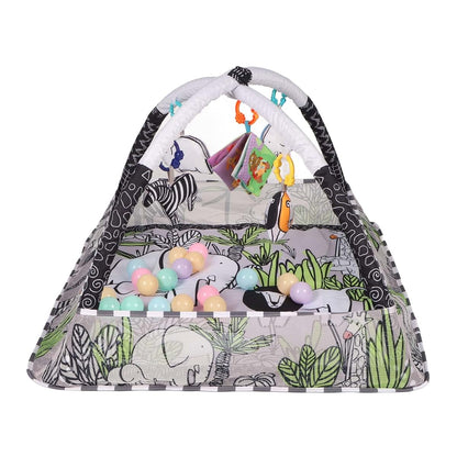 BabyOneStop Gym Play Mat With Activity Center And Ocean Balls