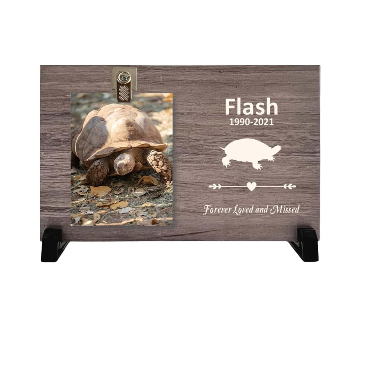 Florida-Funshine Turtle Memorial Frame Custom Wood Photo Display
