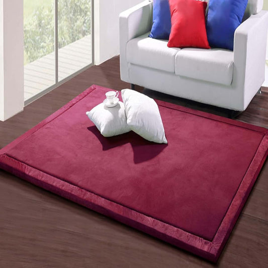 DSSHENGDS Living Room Home Decor Coral Fleece Area Rug, 60 x 120cm