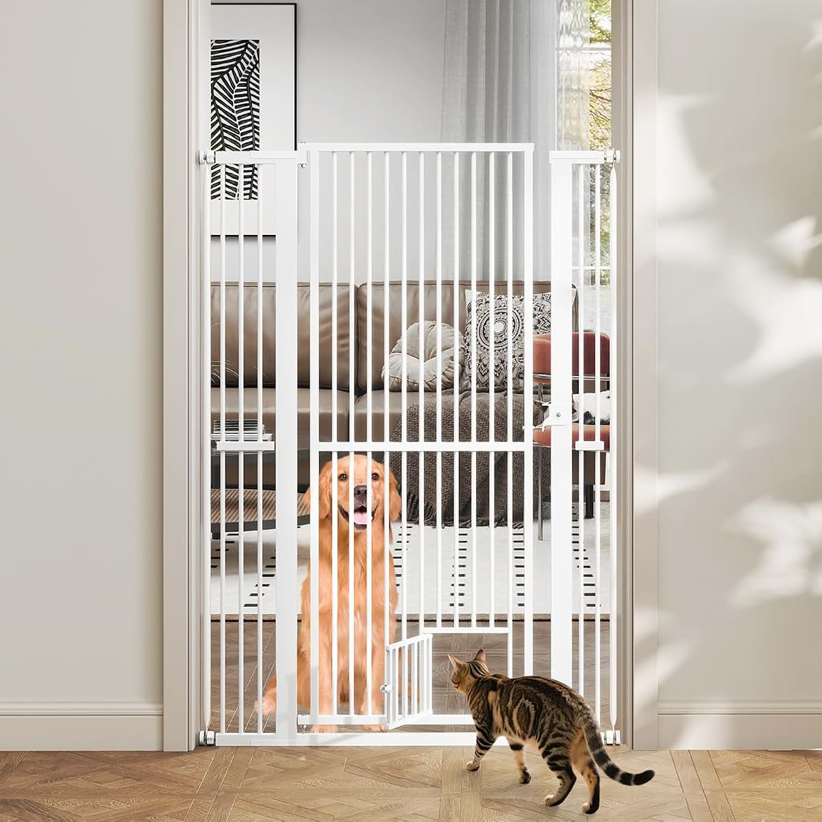 Pet Care Accessory for Home Use and Daily Routine