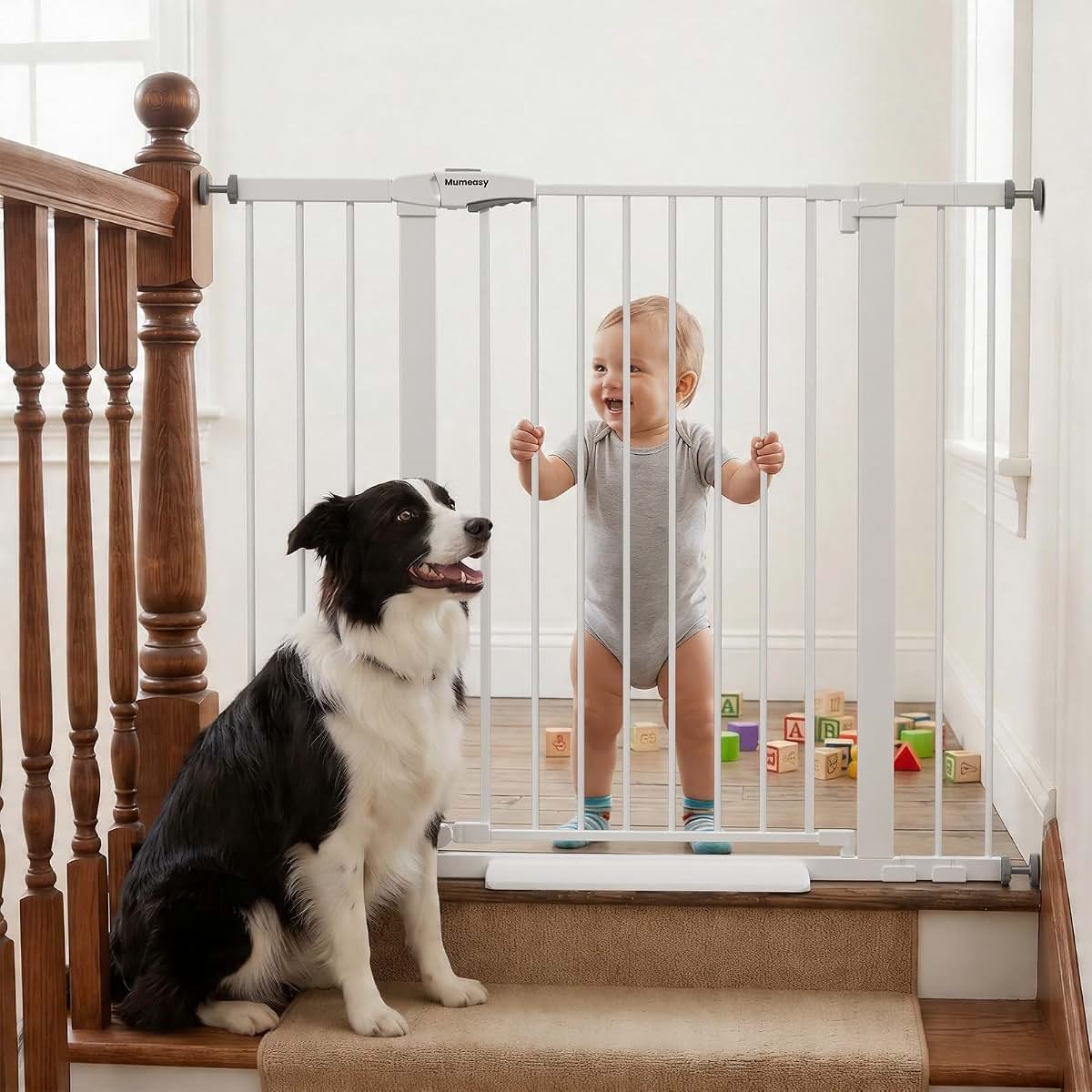Adjustable Metal Pet and Child Safety Gate for Doors and Stairways