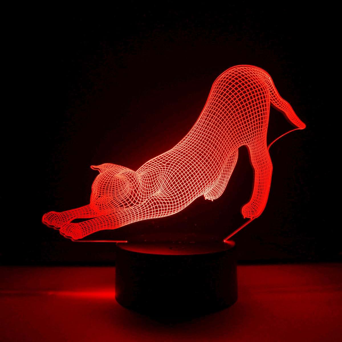 Jinnwell 3D Cat Night Light Lamp Illusion 16 Color Changing Table Desk Decoration Lamps Gift with Acrylic Flat ABS Base (photo 2)