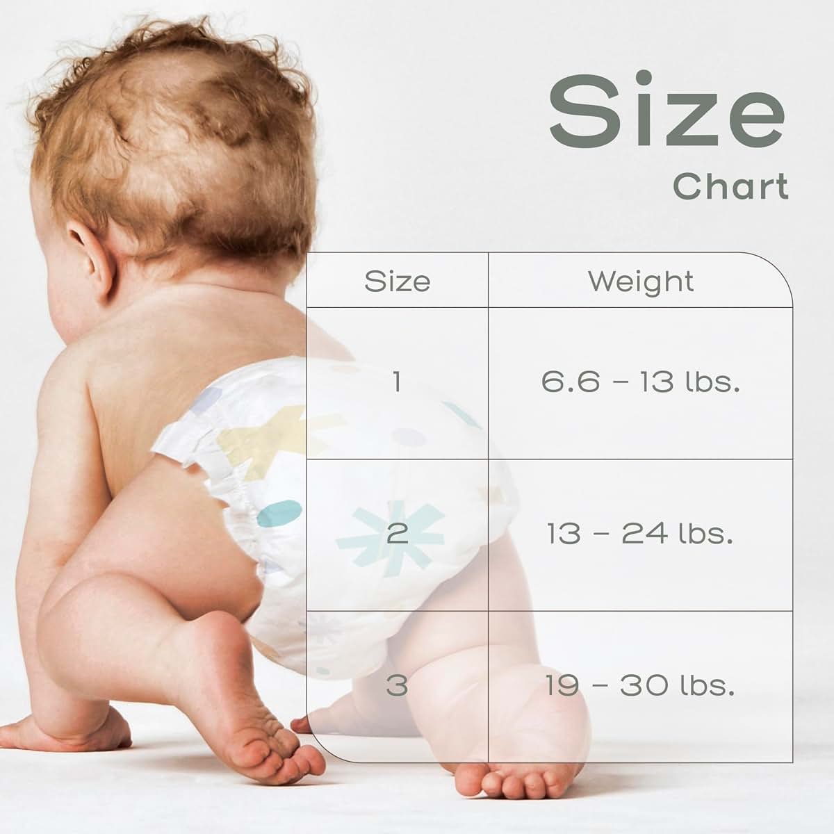 Evolur Snuggle Bum Baby Diapers Size 2, Newborn, PFAS-Free, 200 Count (photo 3)