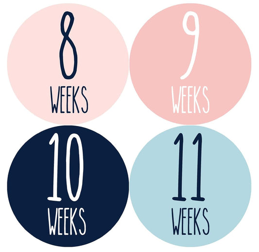 Months In Motion Weekly Pregnancy Growth Stickers Set
