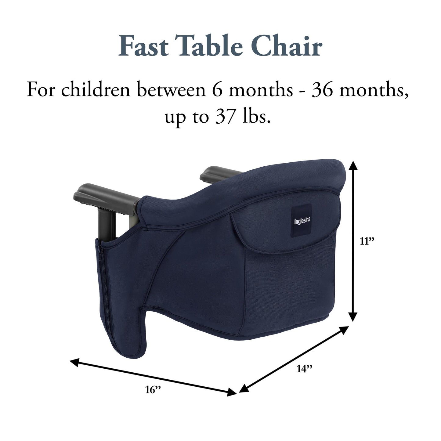 Inglesina Fast Table Chair, Navy