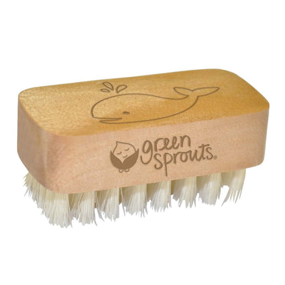 Green Sprouts Baby Nail Brush For Newborn Infant Grooming