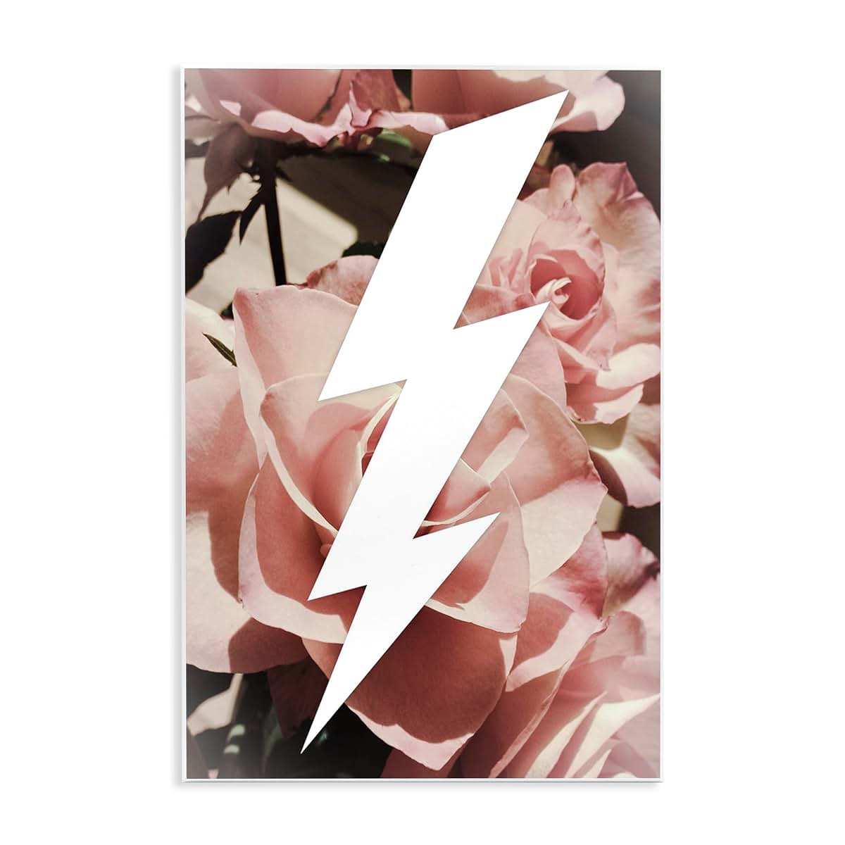 Stupell Industries Lightning Bolt and Roses Wall Plaque Art, 10x15