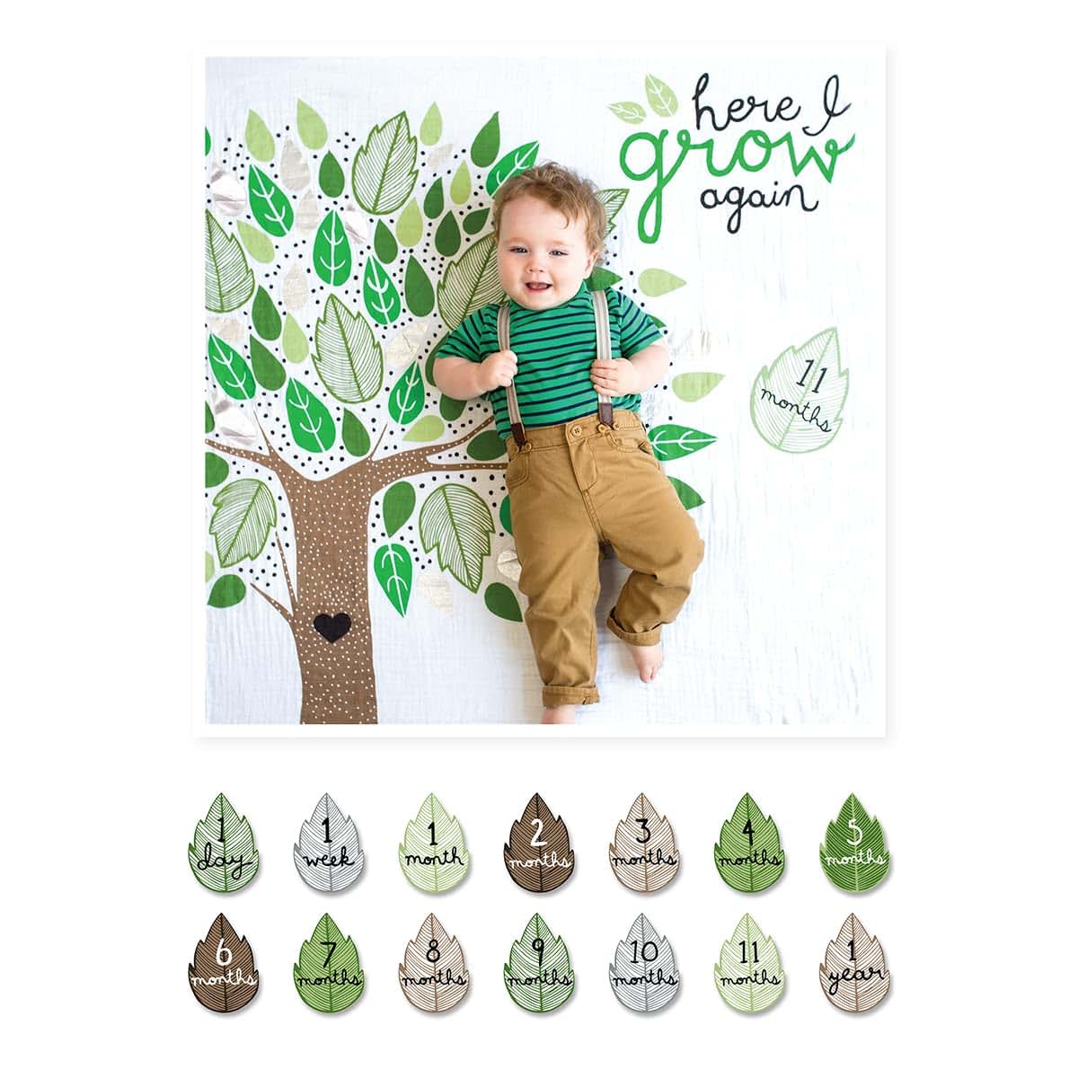 Lulujo Baby First Year Milestone Blanket And Card Set 40x40