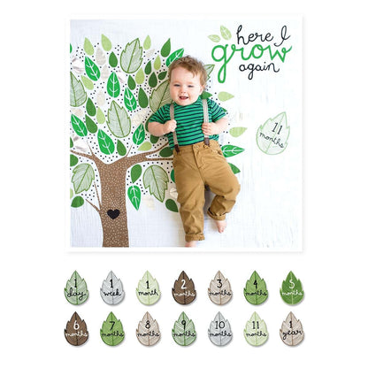Lulujo Baby First Year Milestone Blanket And Card Set 40x40