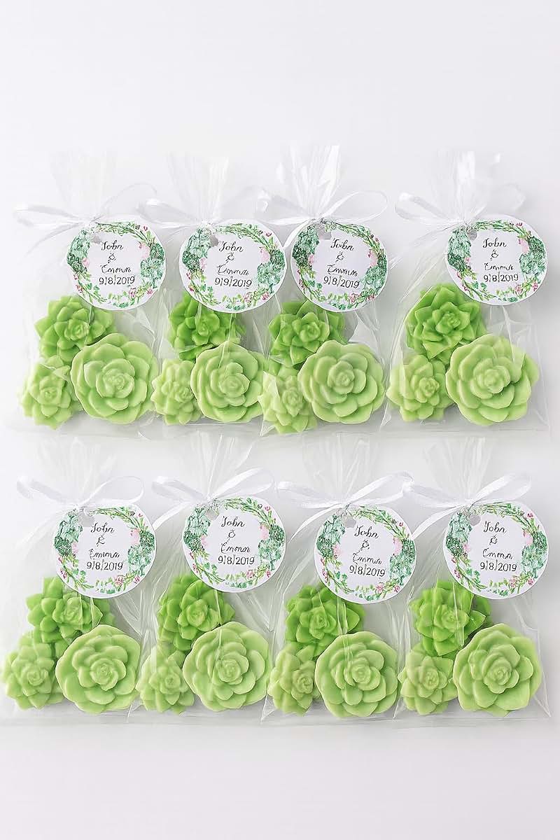 Amy's Bubbling Boutique Personalized Succulent Baby Shower Favors (photo 3)