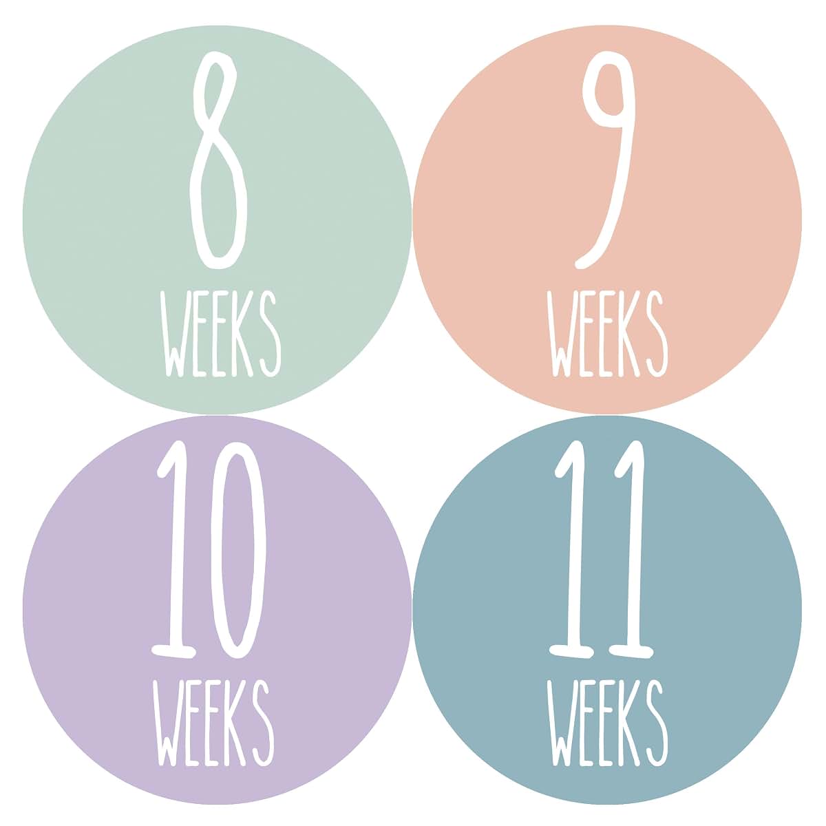 Months In Motion Weekly Pregnancy Growth Stickers For Maternity Photos