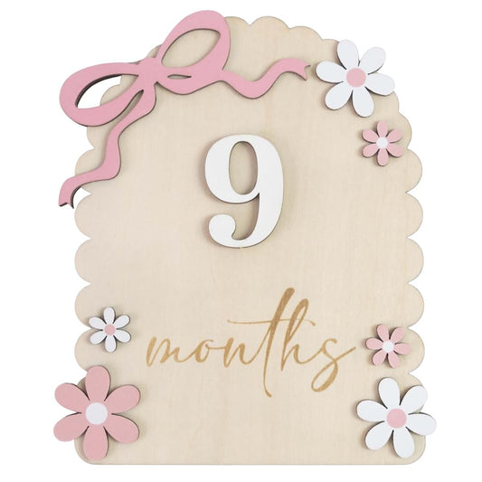 Memolebia Baby Girl Monthly Milestone Signs And Newborn Photography Props