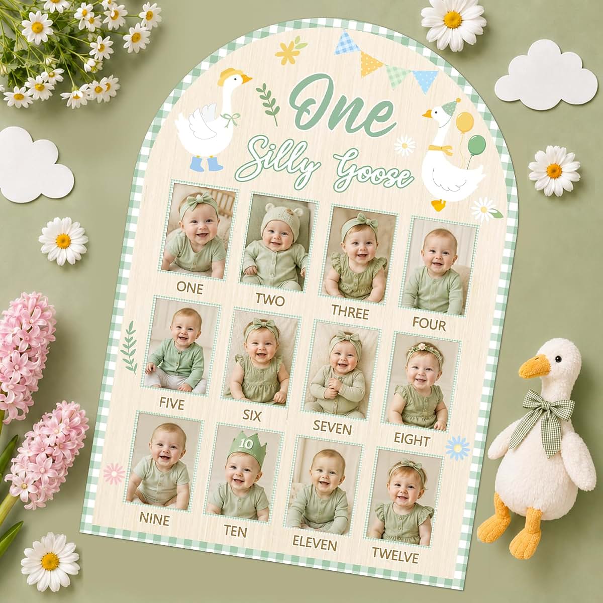 XJellyfish Design One Silly Goose Monthly Milestone Photo Board