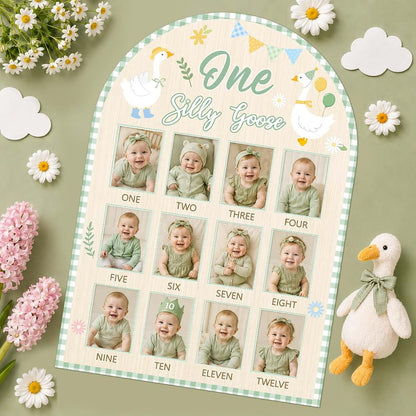 XJellyfish Design One Silly Goose Monthly Milestone Photo Board