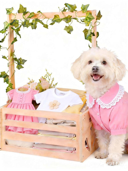 Wooden Pet Storage Basket for Toys and Accessories