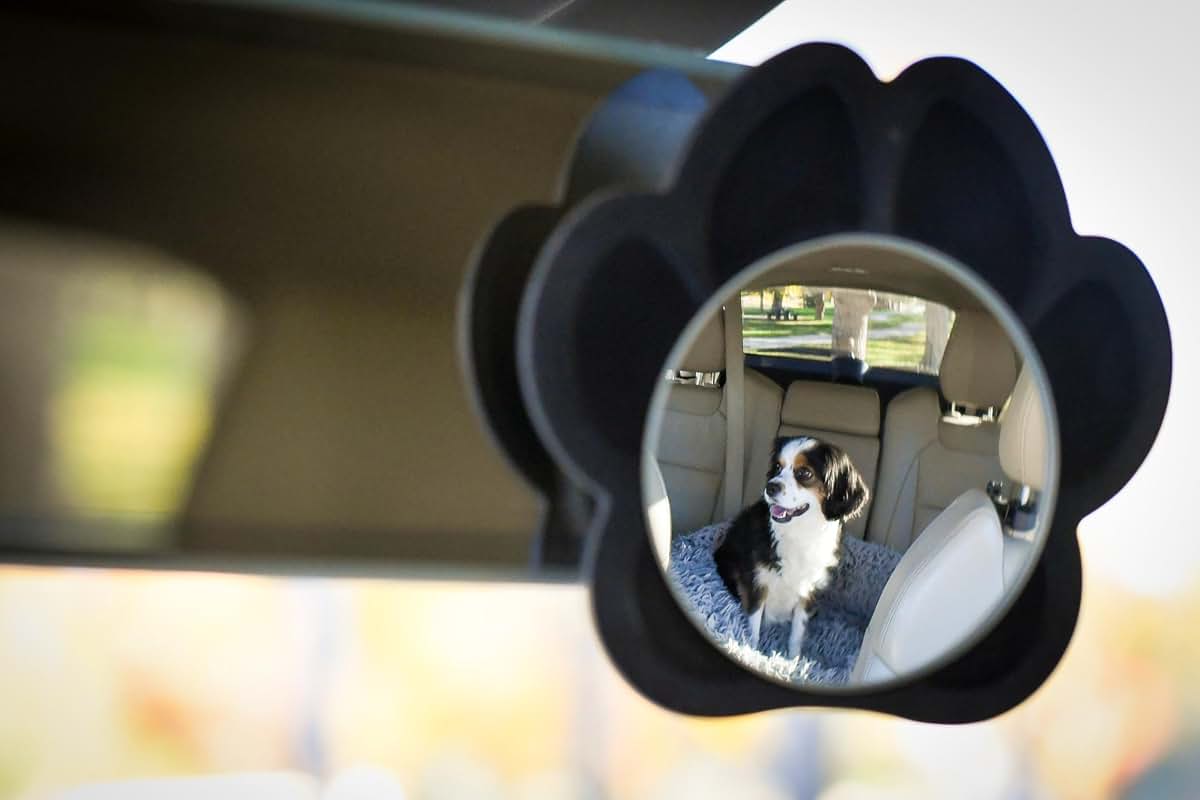 Whisker Watch Pet Car Mirror (photo 2)
