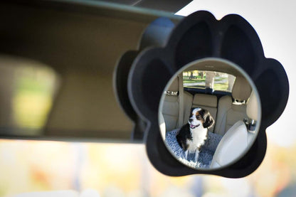 Whisker Watch Pet Car Mirror (photo 2)