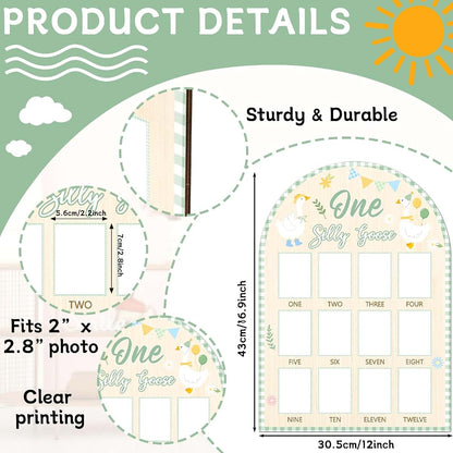 XJellyfish Design One Silly Goose Monthly Milestone Photo Board
