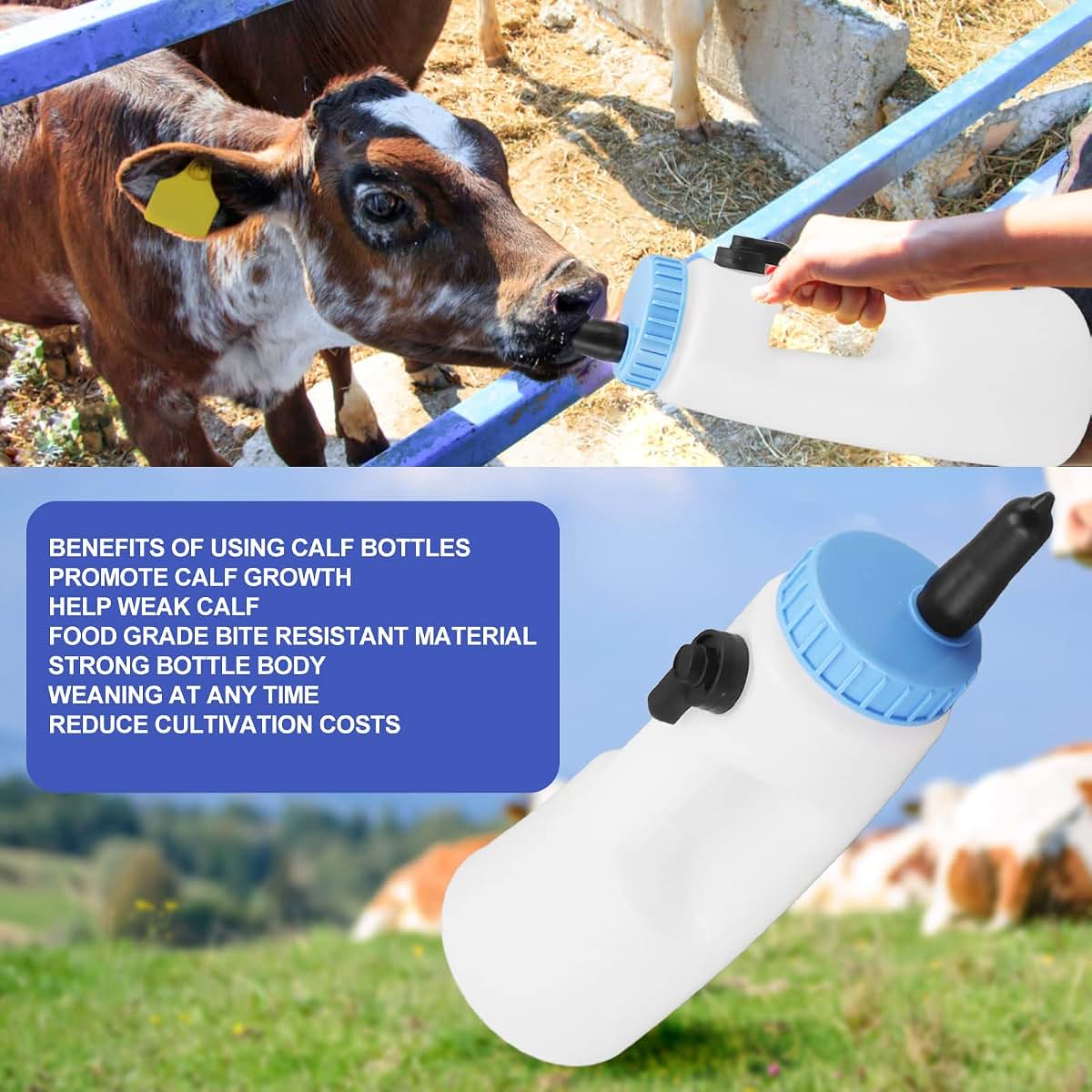 Qanyegn Vertical Calf Bottle for Feeding Lambs and Calves