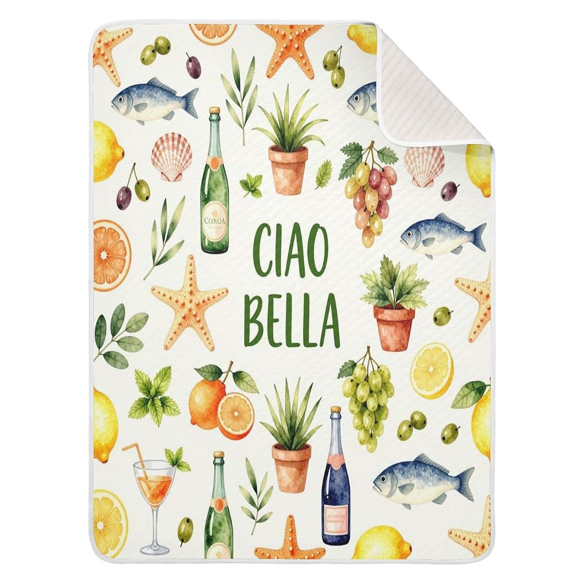 Decor Gift Baby Boy Minky Italian European Summer Preppy Blanket
