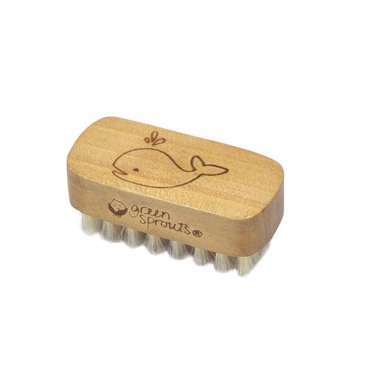 Green Sprouts Baby Nail Brush For Newborn Infant Grooming