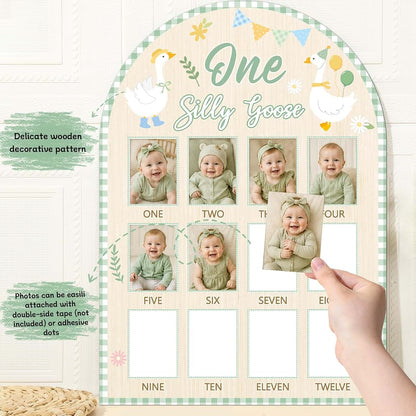 XJellyfish Design One Silly Goose Monthly Milestone Photo Board