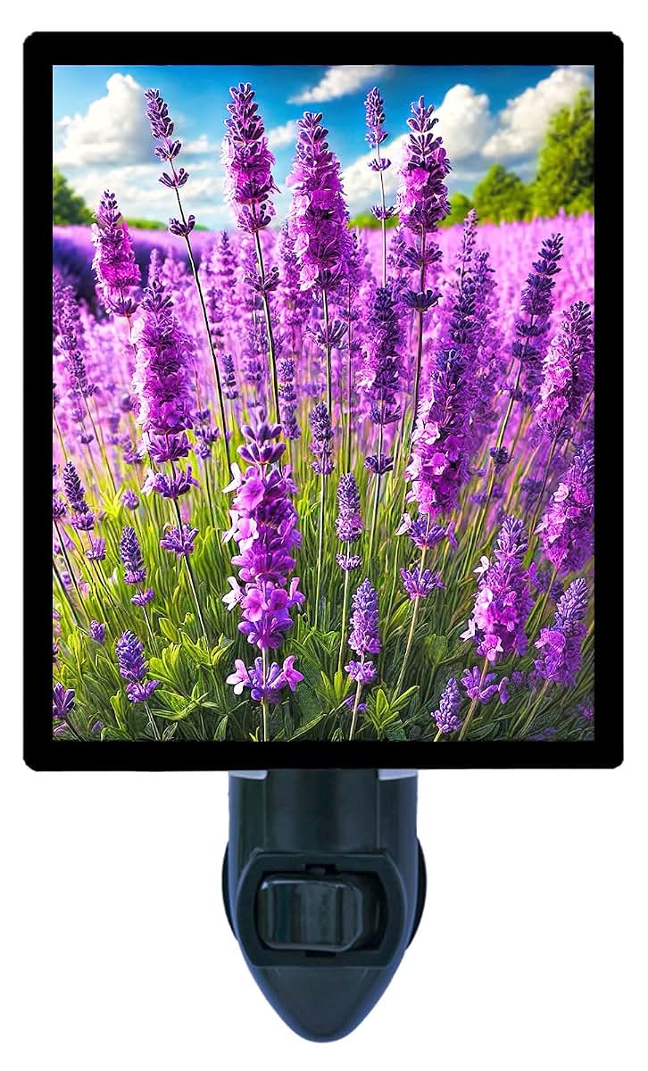 Night Light Designs Lavender in Bloom Night Light – Floral Landscape Design, Fully Enclosed, Rotating Plug, Glass