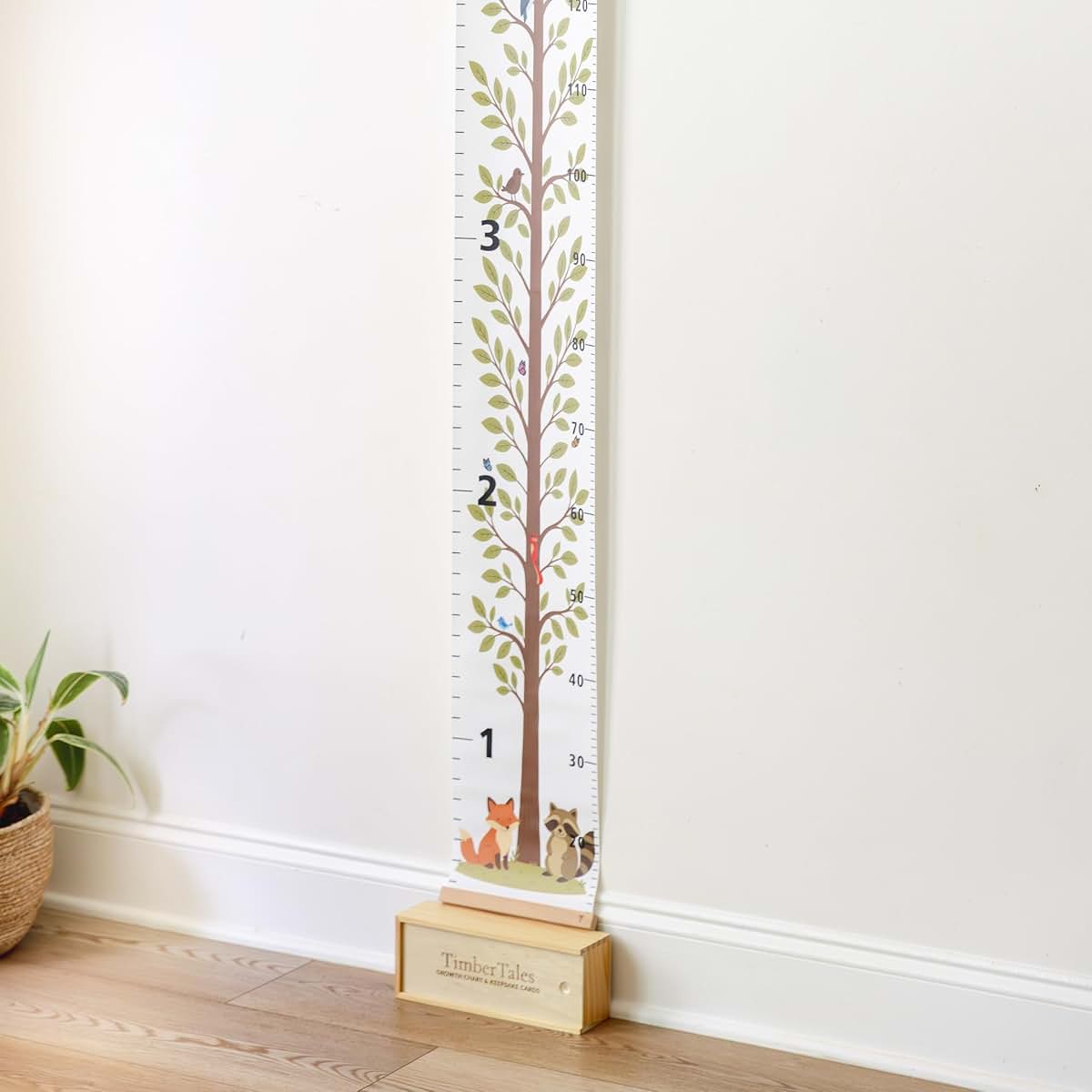TimberTales Growth Chart And Keepsake Cards With Wooden Box