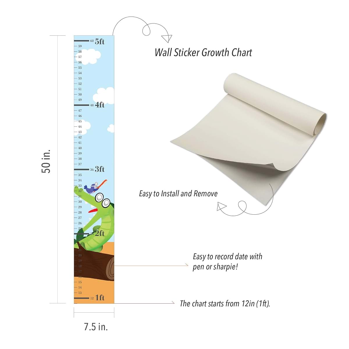 Crocodile Wall Sticker Growth Chart Decal for Kids Room Decor