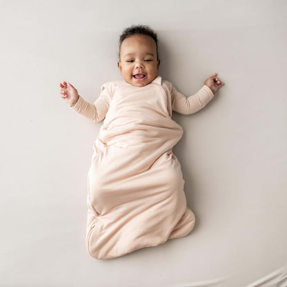 Kyte Baby Sleep Bag for Infants and Toddlers with Dual Zipper