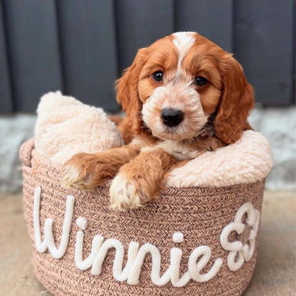 Andisijq Personalized Dog Toy Basket Custom Name Storage Bin (photo 4)