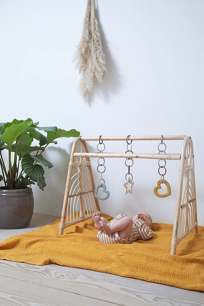 BabyOneStop BIBS Loops 12-Pack Flexible Hanging Toy