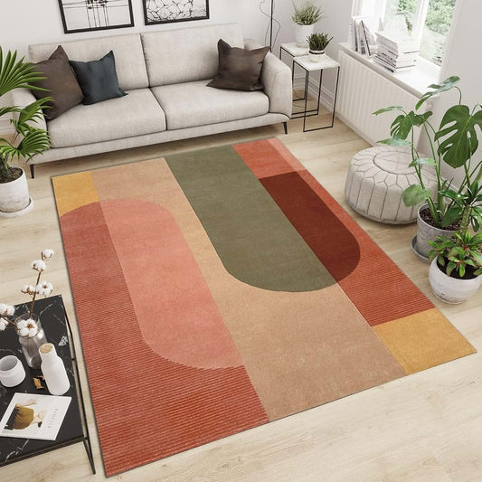 TIMOILU 4x5 Boho Geometric Area Rug, Faux Cashmere Low Pile Rectangle for Bedroom and Playroom