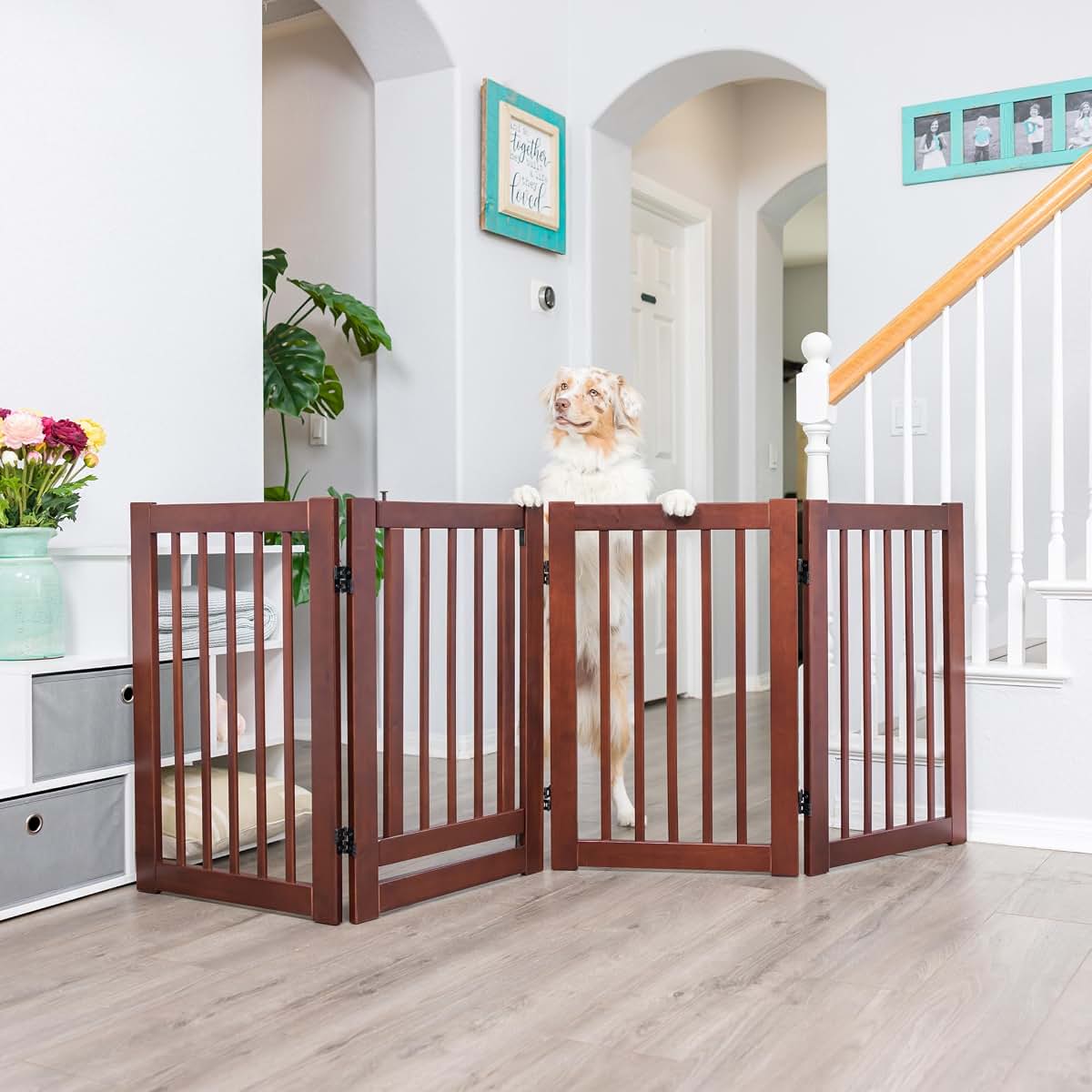 Primetime Petz 360 Configurable Dog Gate With Door Walnut (photo 2)