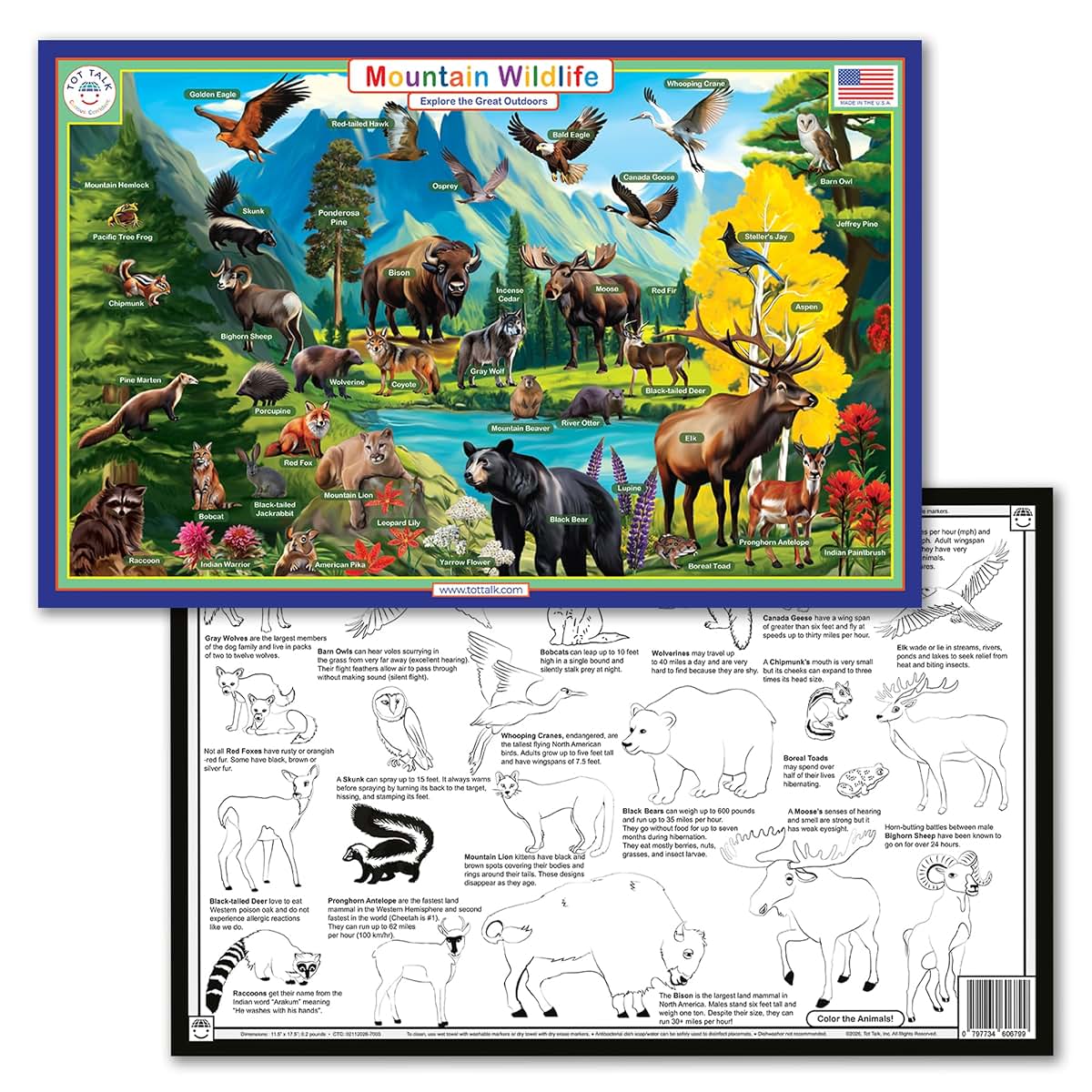 Tot Talk Mountain Wildlife Educational Placemat | Double Sided Learning Mat