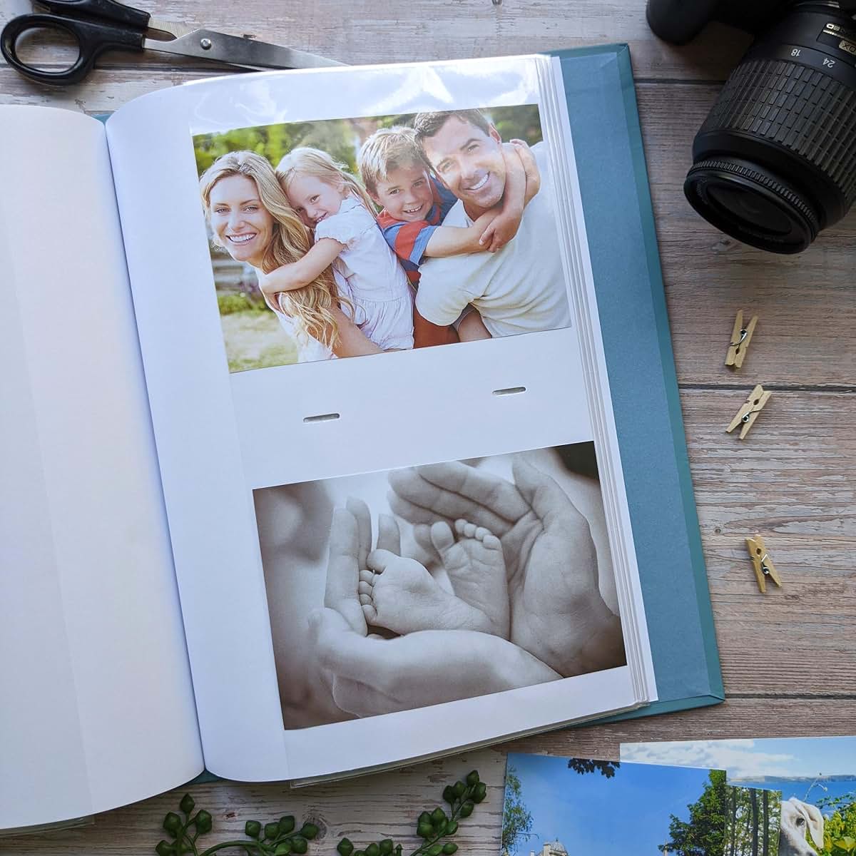 Robert Frederick Portrait Photograph Album - Beatrix Potter Design (photo 3)