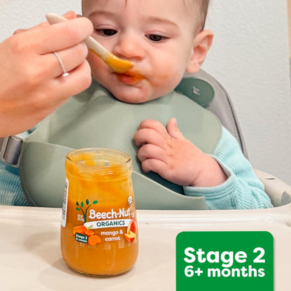 Beech-Nut Beef & Veggies Baby Food Pouch