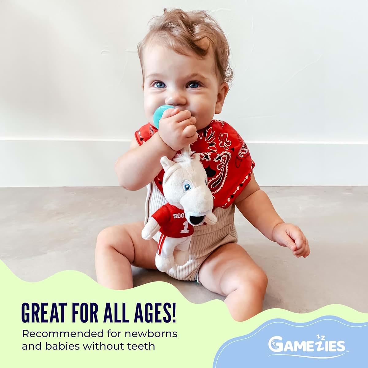 Gamezies Cactus Plush Pacifier With Detachable Western Plush Toy Holder 0-6 Months