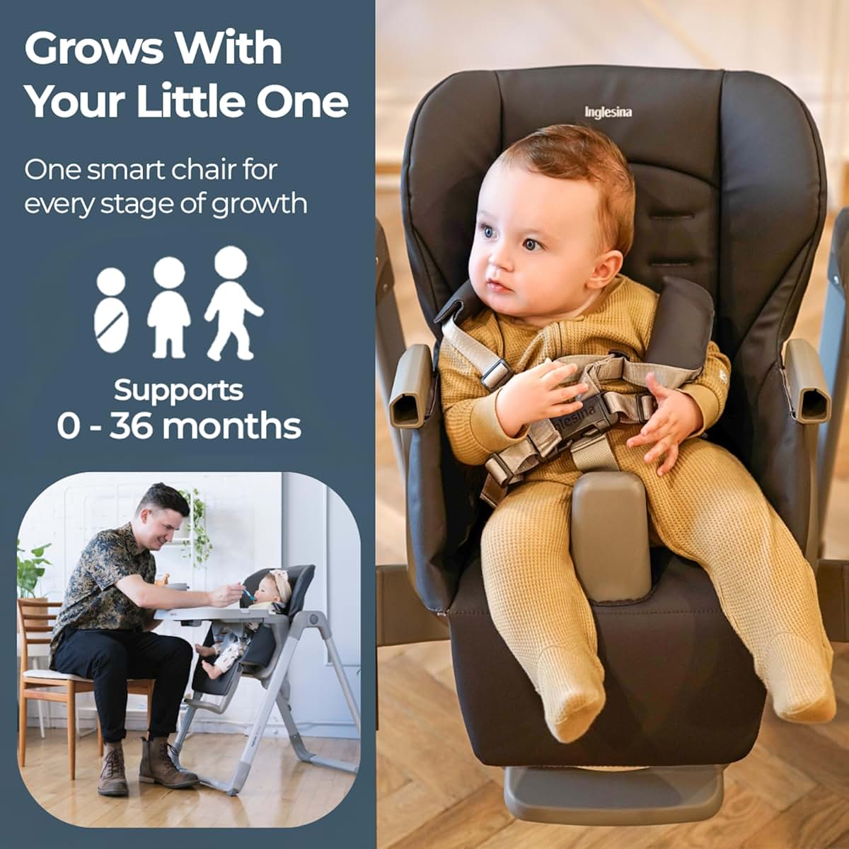 Inglesina My Time Highchair for Babies & Toddlers